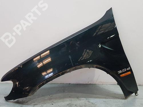 Used Left front fenders Left front fenders BMW X5 (E53) 3.0 d (184 hp) 11202158 11202158