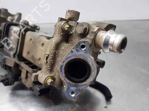 Egr OPEL MERIVA B MPV (S10)  | BP29708821M69 