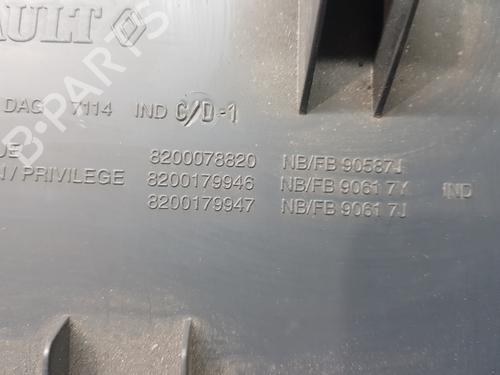 Glove box RENAULT MEGANE II (BM0/1_, CM0/1_)  | BP29422936C95 