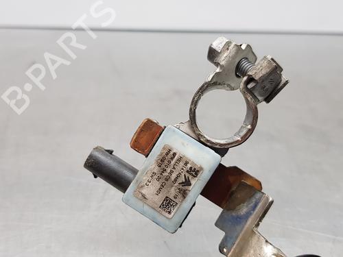 Cable CITROËN C-ELYSEE (DD_)  | BP16295906E12 