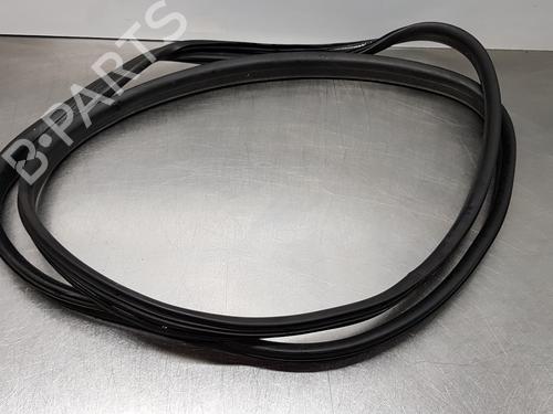 Gummiliste DACIA LODGY (JS_) 1.5 Blue dCi 115 (JSJT) (116 hp) 30879185