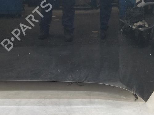 Hood TOYOTA RAV 4 V (_A5_, _H5_)  | BP19161175C1 