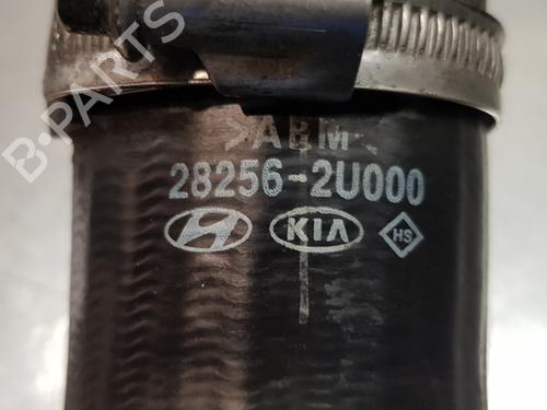 Pipe KIA CEED Sportswagon (CD)  | BP20706642M125 