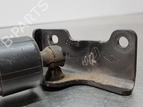 Tailgate lift support RENAULT ESPACE V (JR_)  | BP18242224C138 