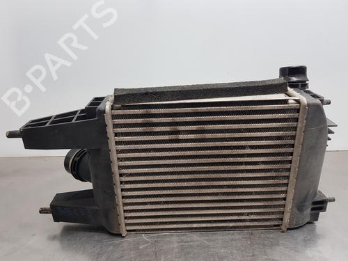 Intercooler NISSAN JUKE (F15)  | BP30054903M30 