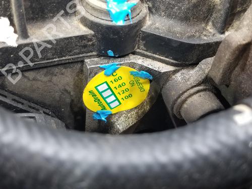 Engine SEAT IBIZA III (6L1)  | BP20666541M1 