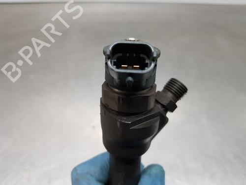 Injector LAND ROVER RANGE ROVER EVOQUE (L538) | BP29121620M100