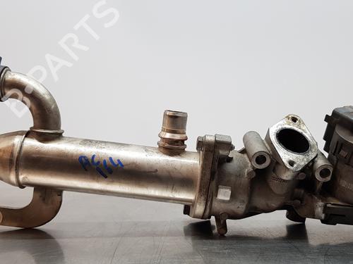 Egr CITROËN C5 III (RD_) | BP13011193M69