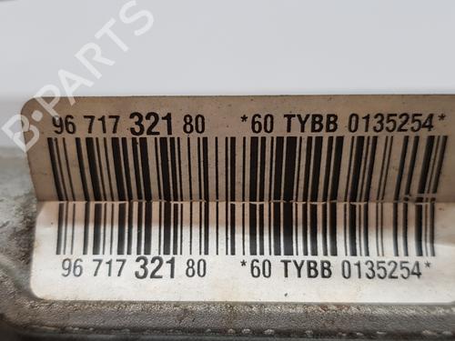 Styregear/Snekke CITROËN C3 II (SC_)  | BP13689937M22 