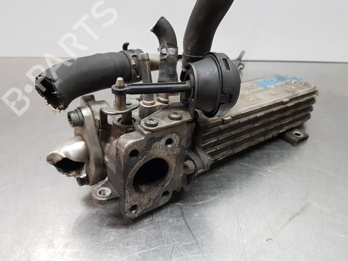 Egr VW PASSAT B6 (3C2) | BP30881082M69