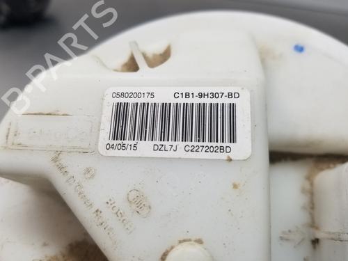 Fuel pump FORD FIESTA VI (CB1, CCN)  | BP29279423M76 