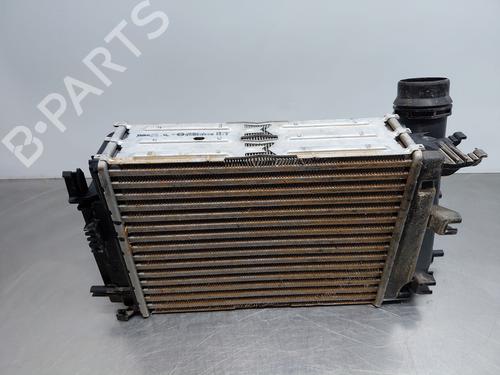 Intercooler NISSAN QASHQAI III (J12) [2021-2025]  31112521