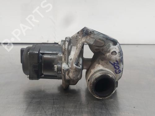 Egr PEUGEOT PARTNER MPV (5_, G_) | BP13532831M69
