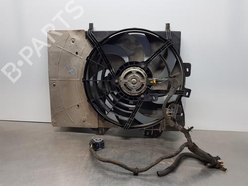 Used Radiator fan PEUGEOT 207 (WA_, WC_) [2006-2015]  29131105