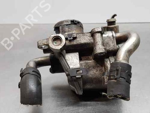 Used Egr SKODA RAPID (NH3, NK3, NK6) 1.6 TDI (115 hp) 13019599