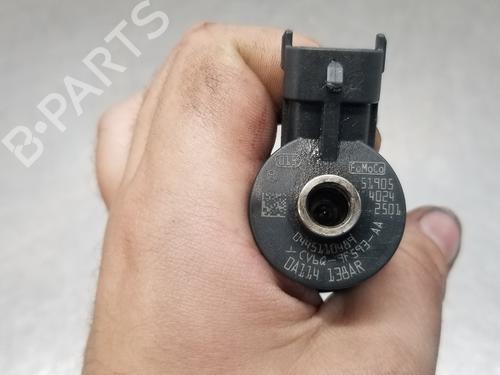 Injector FORD TOURNEO CONNECT / GRAND TOURNEO CONNECT V408 MPV 1.6 TDCi | BP18132976M100 