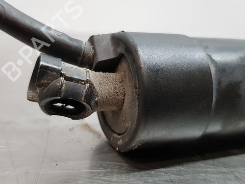 Tailgate lift support FORD C-MAX II (DXA/CB7, DXA/CEU) 2.0 TDCi | BP14367315C138 