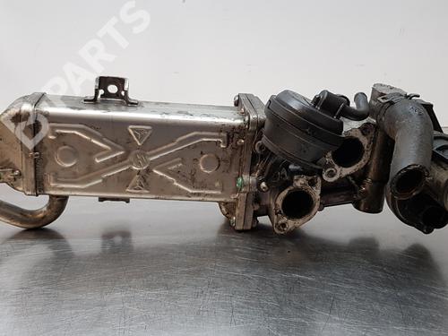 Egr SEAT ALTEA (5P1)  | BP10182816M69 