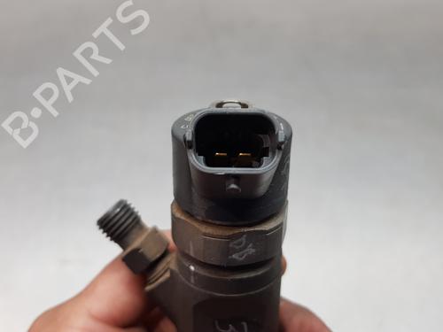 Injector RENAULT SCÉNIC II (JM0/1_) | BP30879005M100