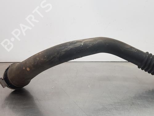 Pipe RENAULT SCÉNIC II (JM0/1_) | BP14256958M125