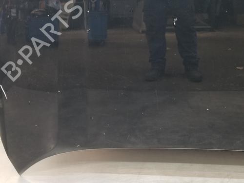 Hood TOYOTA RAV 4 V (_A5_, _H5_)  | BP19161175C1 