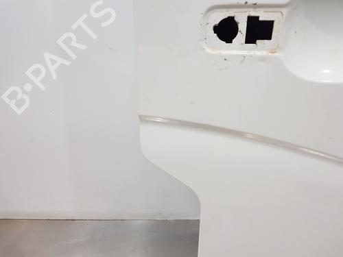 Right front door RENAULT MASTER III Van (FV)  | BP29940550C3