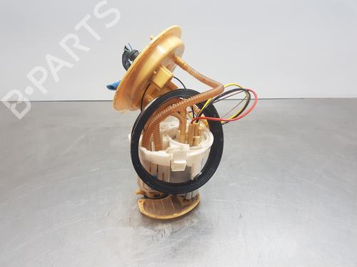 Fuel pump AUDI Q5 (FYB, FYG)  | BP29752026M76