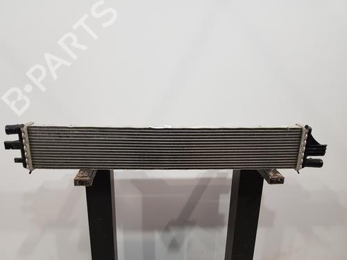 Intercooler RENAULT MASTER III Van (FV) [2010-2025]  30881121