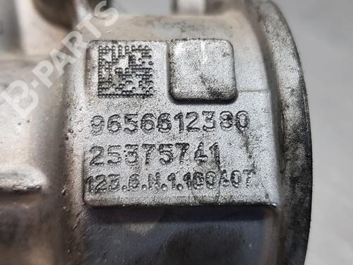 Egr FORD FOCUS C-MAX (DM2) 2.0 TDCi | BP10693960M69