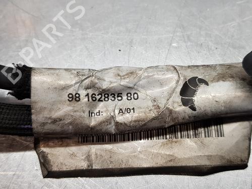 Cable CITROËN C-ELYSEE (DD_)  | BP16295906E12 