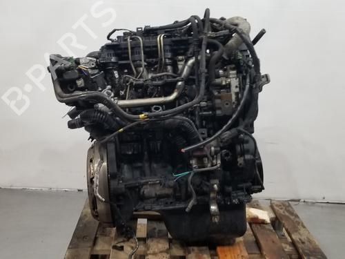 Used Engine FORD FOCUS C-MAX (DM2) [2003-2007]  19118675