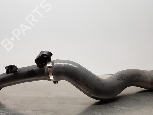 Used Pipe NISSAN QASHQAI II (J11, J11_) [2013-2025]  16365962