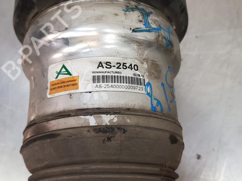 Left front shock absorber MERCEDES-BENZ S-CLASS (W221, V221) S 420 CDI (221.028, 221.128) | BP17895567M16 