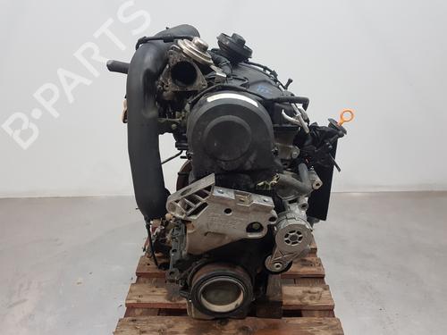 Used Engine VW GOLF V (1K1) [2003-2010]  30287277