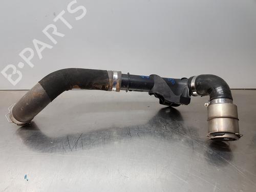 Rør RENAULT MASTER III Van (FV) [2010-2025]  29935428