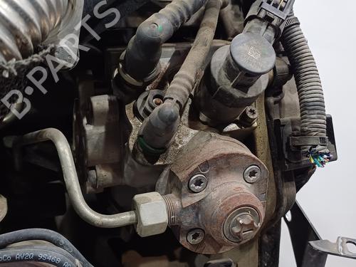 Engine FORD FIESTA VI (CB1, CCN)  | BP17093311M1 