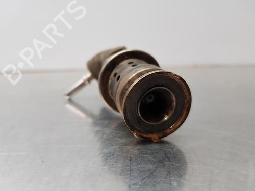Injector PEUGEOT 3008 II SUV (MC_, MR_, MJ_, M4_) | BP30881110M100