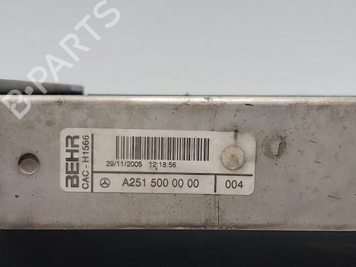 Intercooler MERCEDES-BENZ M-CLASS (W164) | BP30879014M30