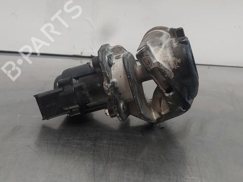 Egr PEUGEOT PARTNER MPV (5_, G_) | BP13532831M69