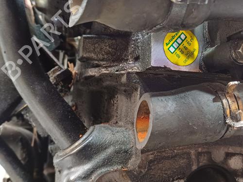 Engine RENAULT MEGANE II (BM0/1_, CM0/1_)  | BP21227523M1 