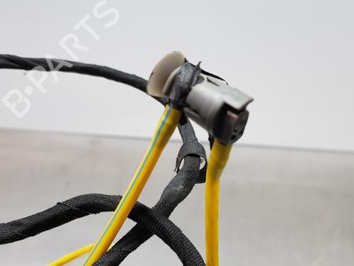 Rear right lock MERCEDES-BENZ S-CLASS (W220, V220)  | BP16395932C99 