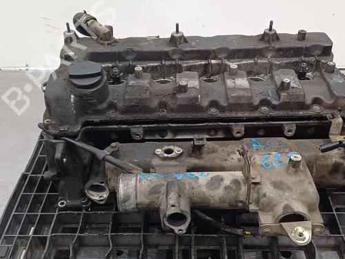 Used Cylinder head SSANGYONG REXTON / REXTON II (GAB_) [2002-2025]  16291166
