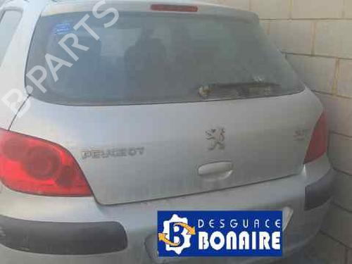 Left front window switch PEUGEOT 307 (3A/C) | BP13019726I27