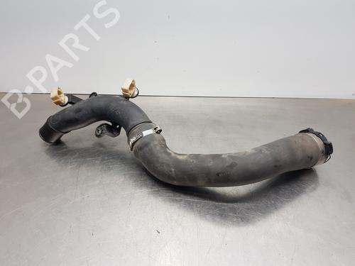 Rør NISSAN JUKE (F15) [2010-2019]  30001968