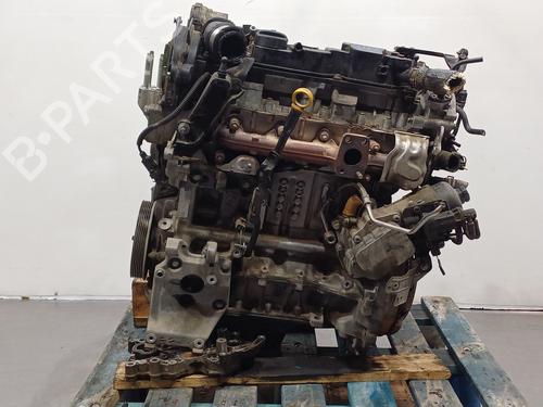 Engine FORD FIESTA VI (CB1, CCN)  | BP17093311M1 