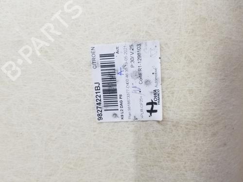 Interior roof PEUGEOT RIFTER 1.5 BlueHDi 100 | BP24202181I12