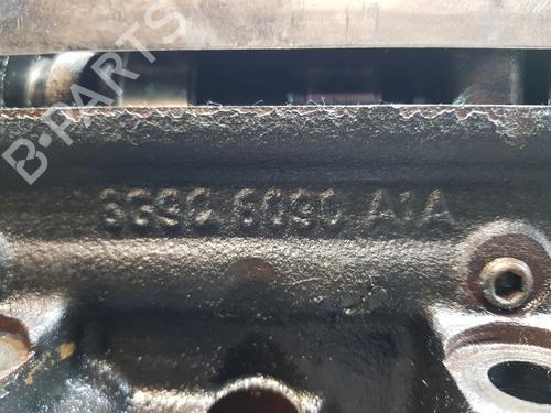Cylinder head FORD FOCUS II (DA_, HCP, DP)  | BP28383752M5