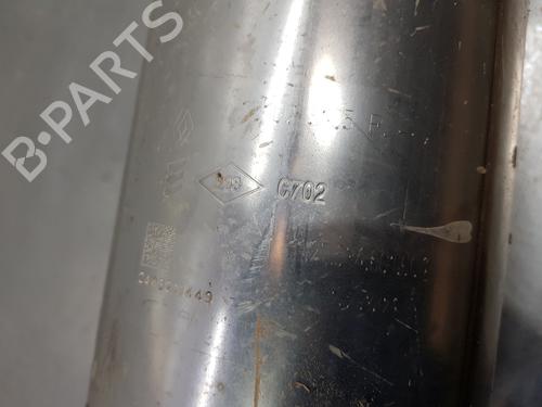 Particulate filter RENAULT MASTER III Van (FV)  | BP29752686M81 