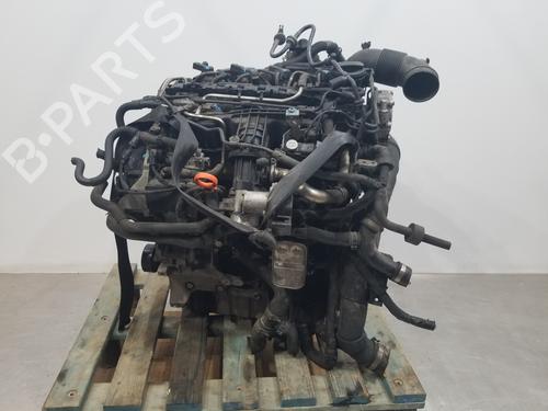 Used Engine VW CADDY III Box Body/MPV (2KA, 2KH, 2CA, 2CH) [2004-2016]  30408249