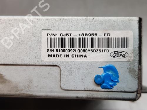 Display monitor FORD GRAND C-MAX (DXA/CB7, DXA/CEU) 2.0 TDCi | BP13735216C48 